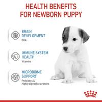 Gambar Royal Canin Babydog Milk (400 gr) Susu Bayi Anjing dari Royal Canin Indonesia Kota Administrasi Jakarta Timur 5 Tokopedia