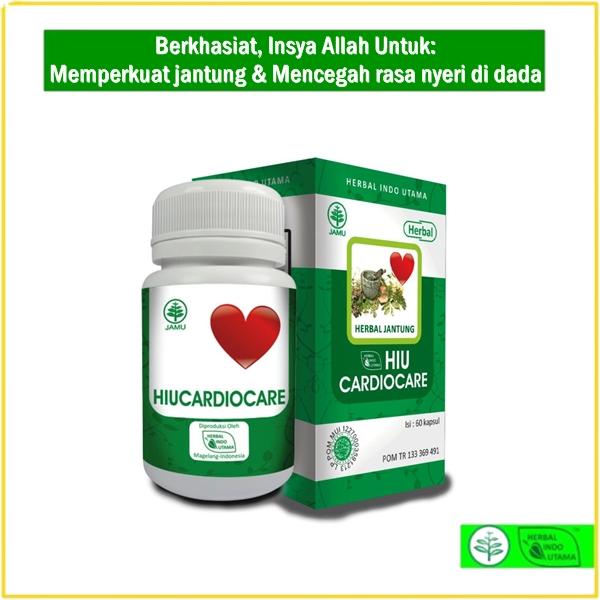 Obat herbal jantung nyeri dada berdebar susah bernafas keletihan bpom