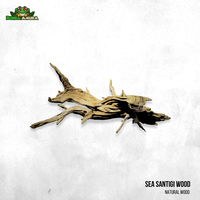 Gambar Kayu Santigi Laut ukuran XL dari Dunia Anura 99 Kota Administrasi Jakarta Barat 1 Tokopedia
