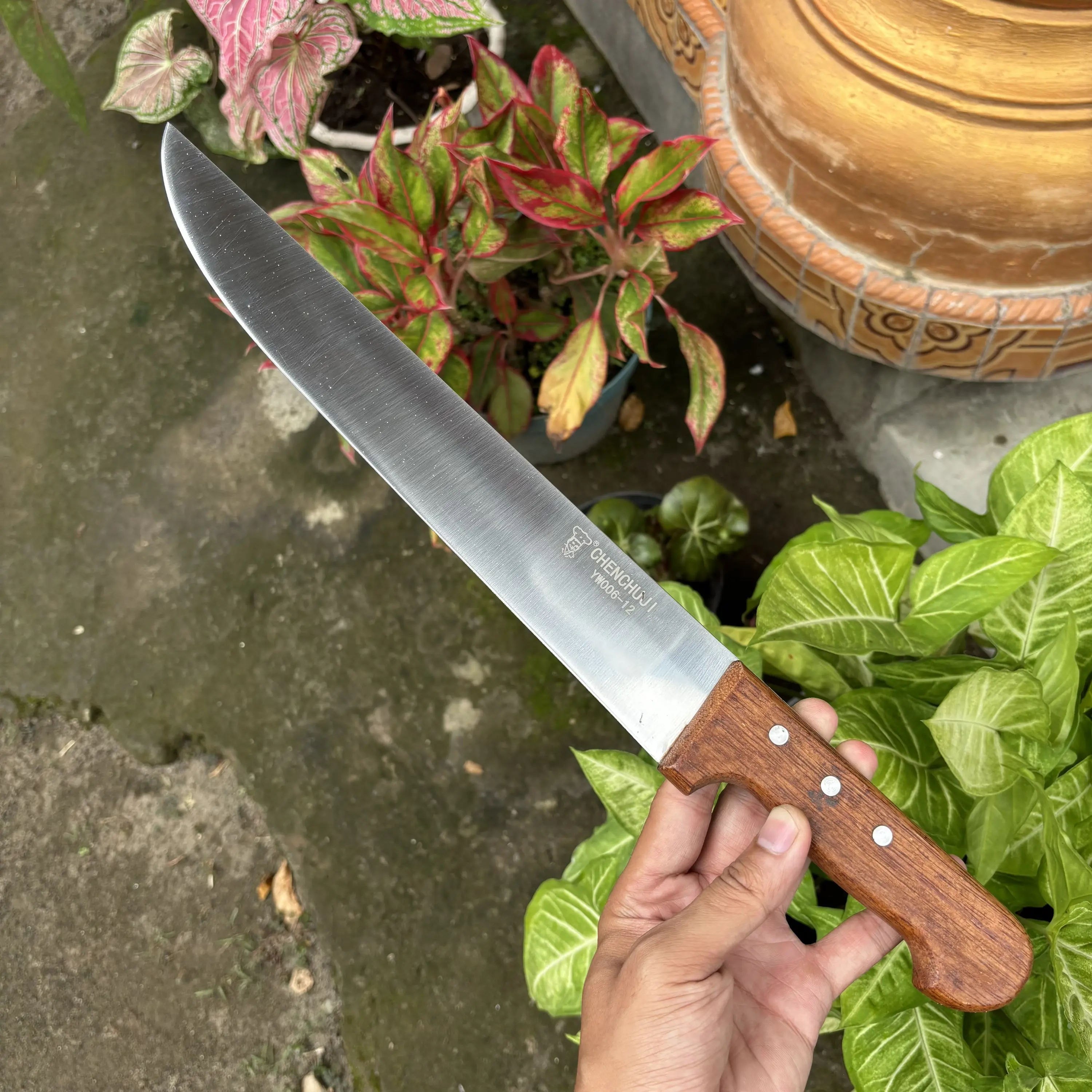 Pisau Chenchuji 30cm Tebel 3mm