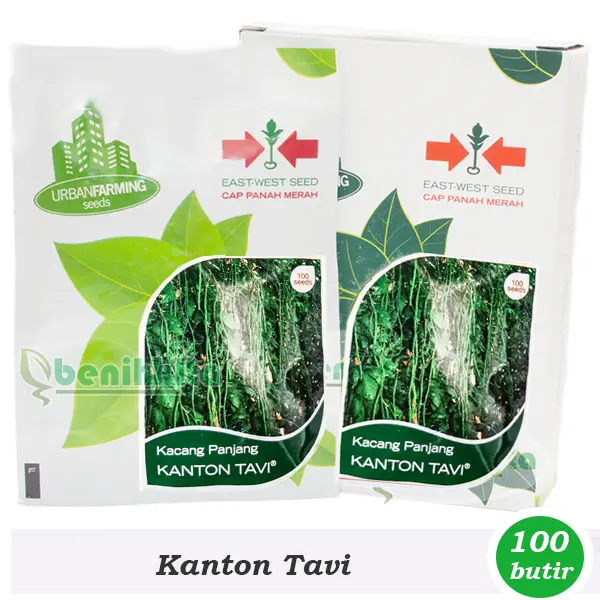 Gambar Benih-Bibit Kacang Panjang Kanton Tavi (Cap Panah Merah) dari benihkita Kota Depok 4 Tokopedia