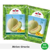 Gambar Benih-Bibit Melon Gracia F1 (Cap Panah Merah) dari benihkita Kota Depok 1 Tokopedia