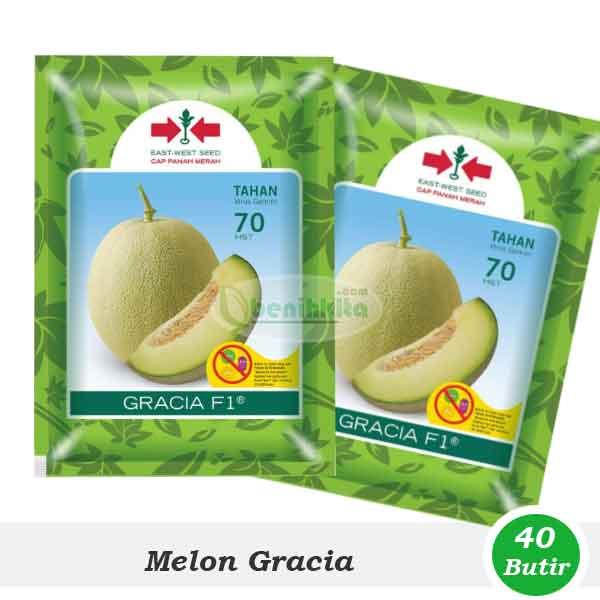 Gambar Benih-Bibit Melon Gracia F1 (Cap Panah Merah) dari benihkita Kota Depok Tokopedia