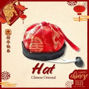 PET HAT SPECIAL NEW YEAR FOR PET