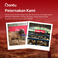 Gambar BantuKurban | Kurban Kirim JABODETABEK | Domba/Kambing dari Bantukurban Kota Administrasi Jakarta Selatan 3 Tokopedia