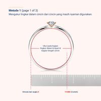 Gambar Adelle Jewellery - Ariella Diamond Ring - Cincin Emas Berlian - 6-8 dari Adelle Jewellery Kota Administrasi Jakarta Utara 5 Tokopedia