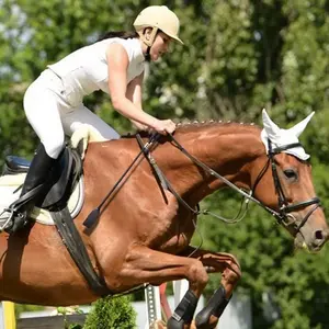 Cambuk Kuda 60cm Pecut Kuda Non SlipPu Leather Non Slip Equestrian Horse Whip