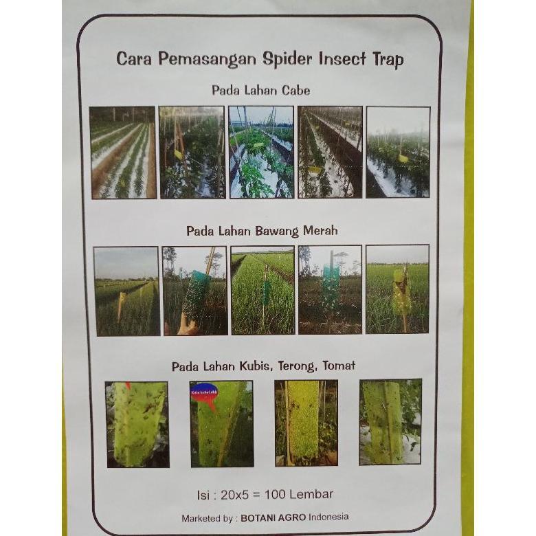 Perekat Perangkap Hama Spider Insect Trap Yellow Isi 100 Lembar - Hijau, S