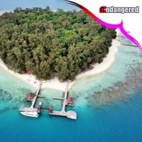 Gambar Voucher Pulau Sepa Resort Kepulauan Seribu - Gurita Family, Room Only dari Endangered Store Kota Administrasi Jakarta Utara 1 Tokopedia