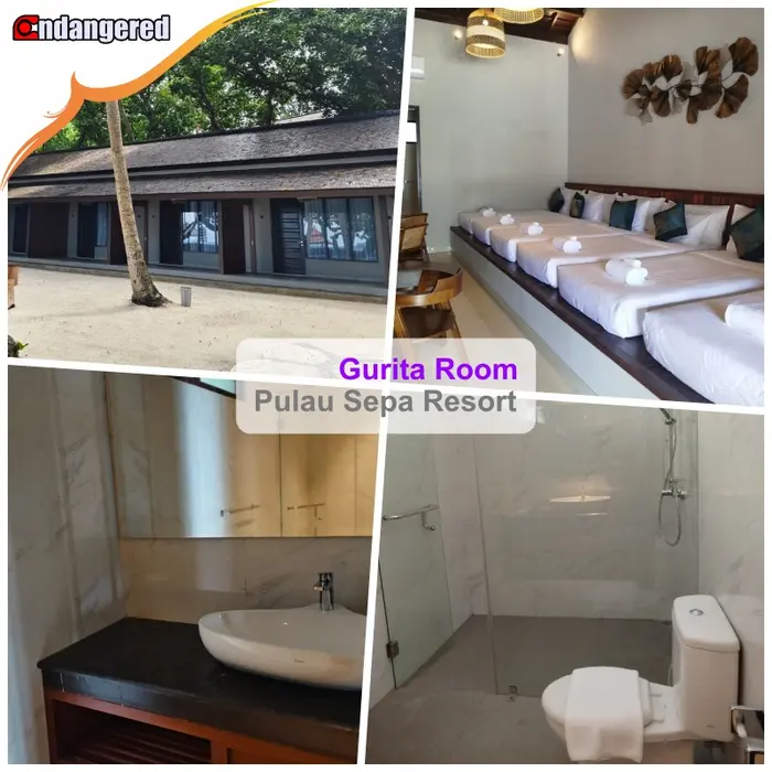 Gambar Voucher Pulau Sepa Resort Kepulauan Seribu - Gurita Family, Room Only dari Endangered Store Kota Administrasi Jakarta Utara 5 Tokopedia