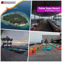 Gambar Voucher Pulau Sepa Resort Kepulauan Seribu - Gurita Family, Room Only dari Endangered Store Kota Administrasi Jakarta Utara 2 Tokopedia