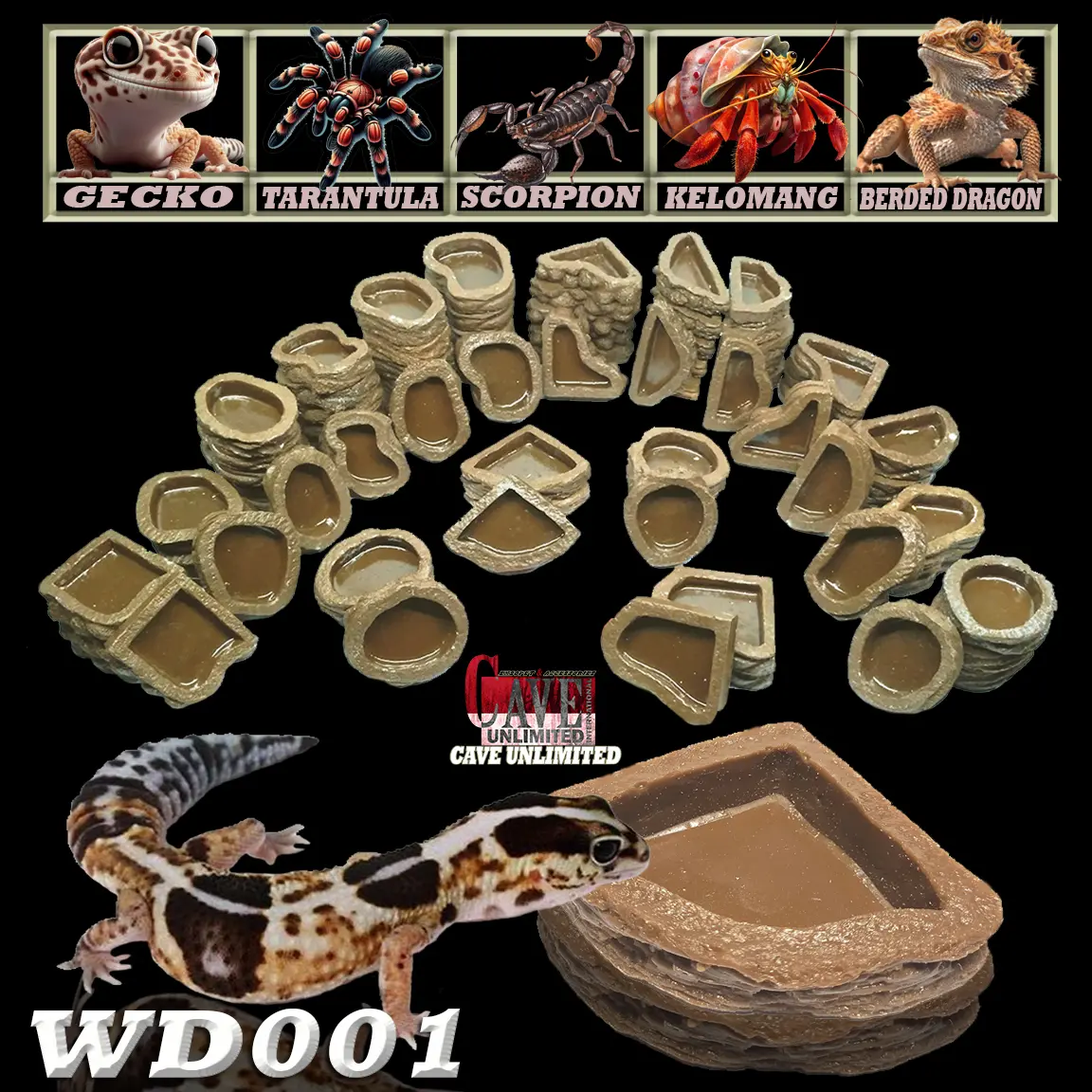 WD001 TEMPAT MAKAN MINUM KELOMANG RUGOSUS BREVIMANUS HERMIT CRAB LEOPARD GECKO AFT TOKEK BD BEARDED DRAGON WATER DISH FEEDINGDISH WADAH MAKANAN MINUMAN INSECTA TARANTULA P METTALICA AURATUM KALAJENGKING KELABANG ULAR CORNSNAKE MANGKUK KALSIUM REPTILE
