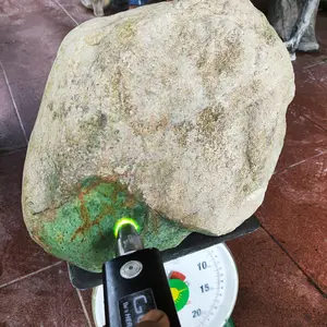 BATU GIOK LUMUT TUNGGAL