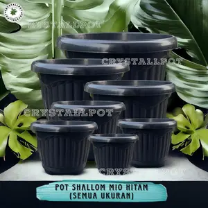 POT BUNGA TANAMAN SHALLOM MIO HITAM KUPING BAHAN TEBAL - SHALLOM MIO KUPING