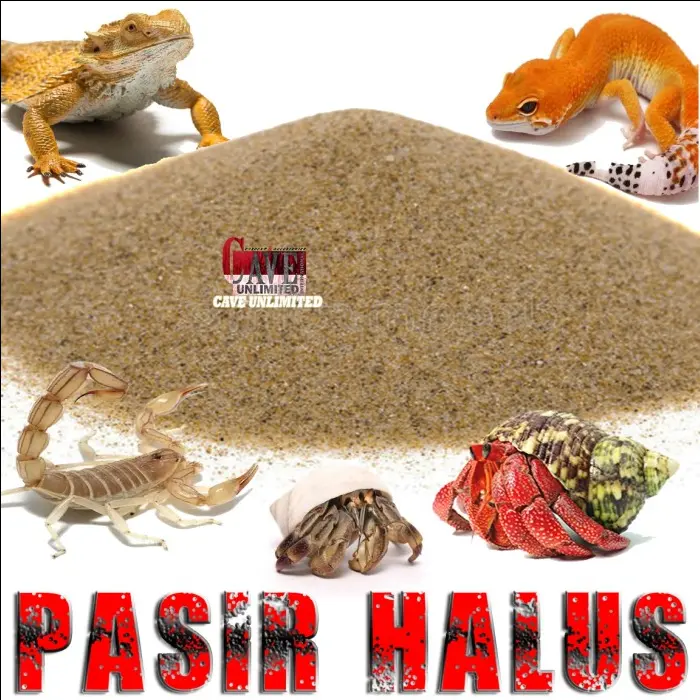 PASIR PANTAI HALUS SUBSTRAT ALAS KANDANG KELOMANG KEONG REPTILE GURUN