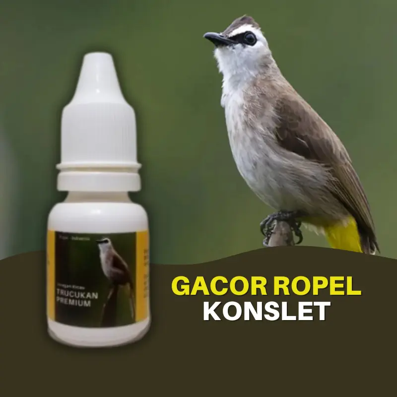 Vitamin Burung Trucukan Premium Gacor Ropel Konslet 0