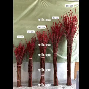 PROMO BUNGA PUSSYWILLOW import bunga asli segar