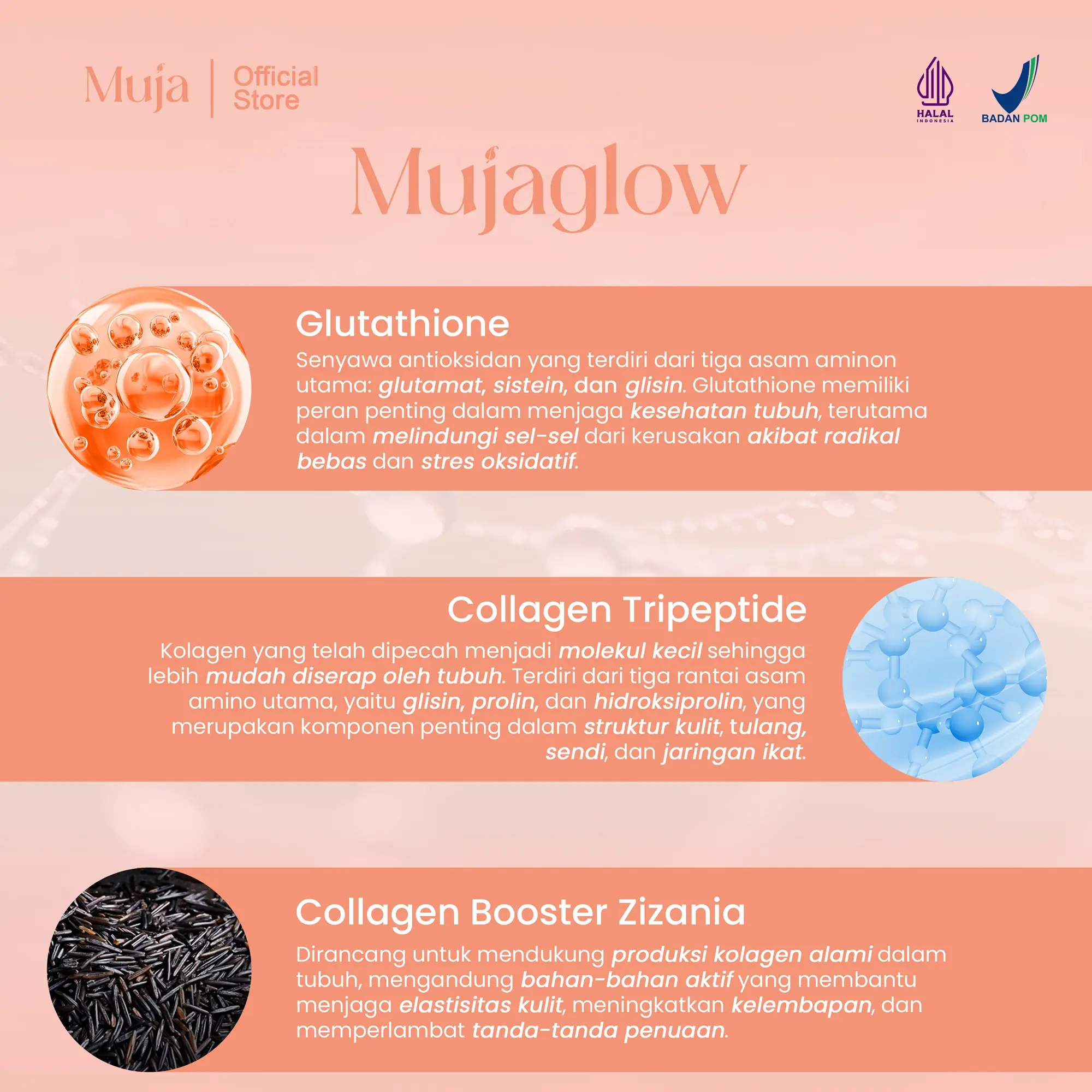 MUJAGLOW minuman Collagen glutathione Drink by Mulan Jameela - 1 Box (10 Sachets) supplement peptide Peach - Shop | Tokopedia MUJAGLOW minuman Collagen glutathione Drink by Mulan Jameela - 1 Box (10 Sachets) supplement peptide Peach - Shop | Tokopedia