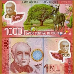 Costa rica 1000 colones 2009 Polymer