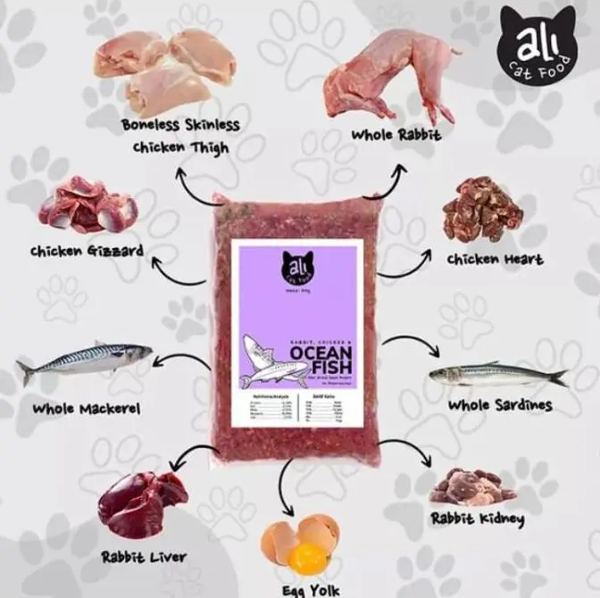 Raw Food - Ali Cat Food - Ocean Fish Rabbit & Chicken - Makanan Kucing Terlaris