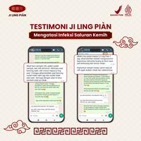 Gambar JI LING PIAN Paket isi 2 Obat Batu Ginjal Herbal Infeksi Saluran Kemih dan Kencing Berbusa dari Ji Ling Pian Kota Depok 5 Tokopedia