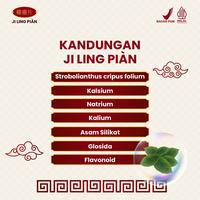 Gambar JI LING PIAN Paket isi 2 Obat Batu Ginjal Herbal Infeksi Saluran Kemih dan Kencing Berbusa dari Ji Ling Pian Kota Depok 4 Tokopedia