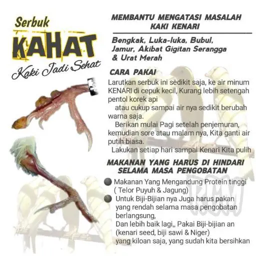 !!!SERBUK KAHAT - Mengatasi masalah KAKI KENARI 3