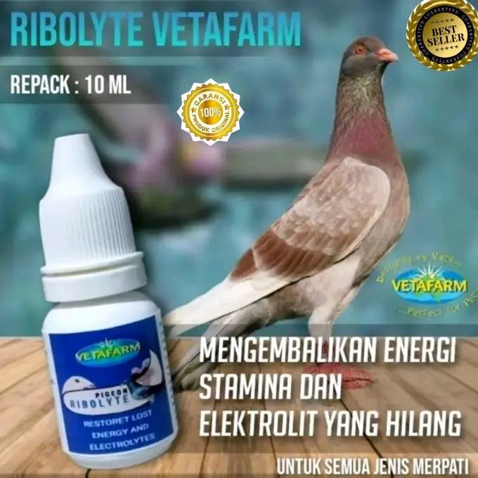 rebolyt vetafarm doping merpati lomba juara