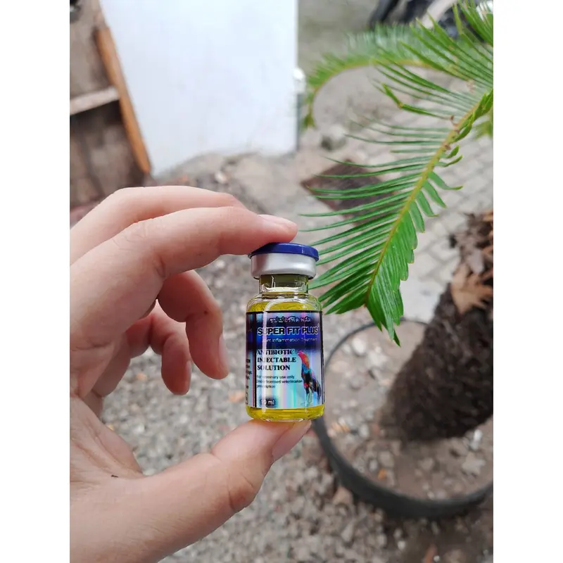 obat ayam SUPER F1T PLUS 10 ML - Obat Ayam Lumpuh Turun Urat Pincang Setelah Laga Mengobati Cedera Kaki 3