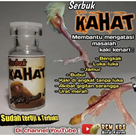 !!!SERBUK KAHAT - Mengatasi masalah KAKI KENARI 0