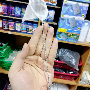 SEROKAN IKAN MINI // IKAN CUPANG // WARNA RANDOM // PONTIANAK