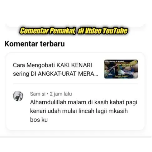 !!!SERBUK KAHAT - Mengatasi masalah KAKI KENARI 1