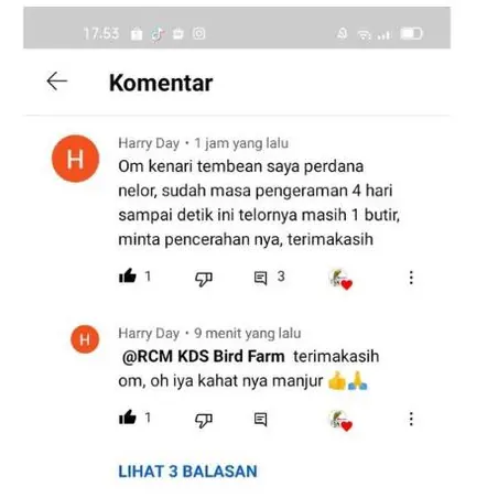!!!SERBUK KAHAT - Mengatasi masalah KAKI KENARI 2