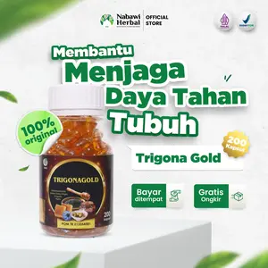 TRIGONA GOLD - Habbatussauda Oil Extra Madu Zaitun Trigona Propolis 200 Kapsul - by nabawiherbal