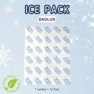 Ice Pack Ice Gel Lembaran Isi 12pc untuk Cooler Bag Cooler Box BAOLUN