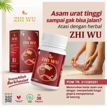 obat herbal zhi wu ce lei obat