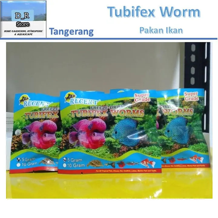 Cacing Sutra Kering Tubifex Worms Kyoto Nikita Recent 5Gr Cacing Kering 3
