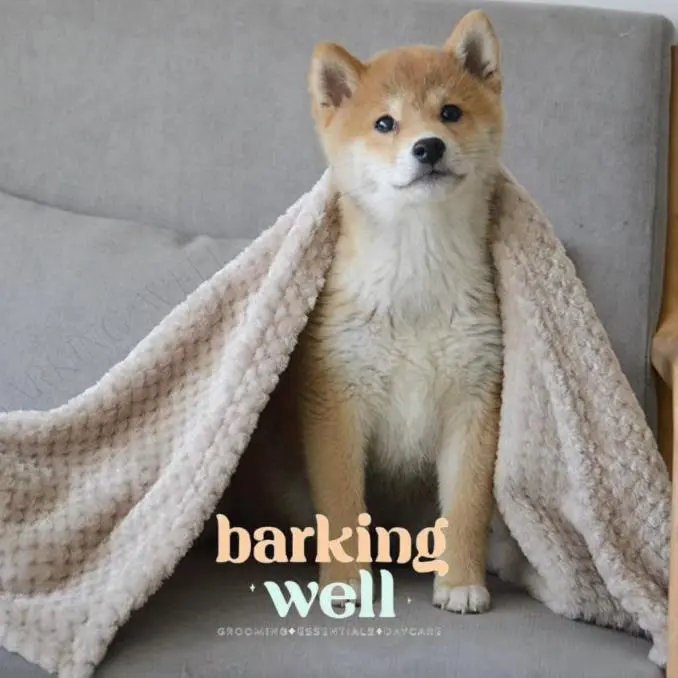 SELIMUT ANJING KUCING ALAS TIDUR HEWAN - PET BLANKET DOG CAT BED