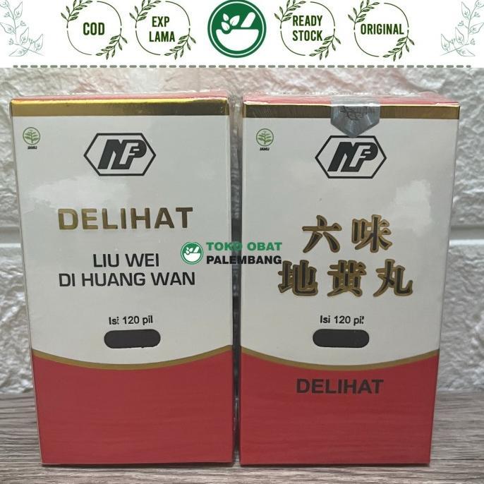 DELIHAT 120 PILLS LIU WEI DI HUANG WAN OBAT GINJAL LIUWEI DIHUANG NF BERKUALITAS