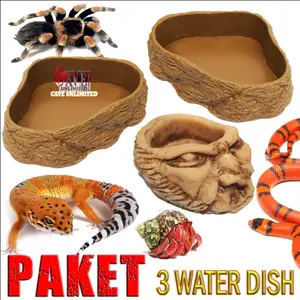 Paket 3 water feeding dish wadah minum gecko ular tarantula reptile