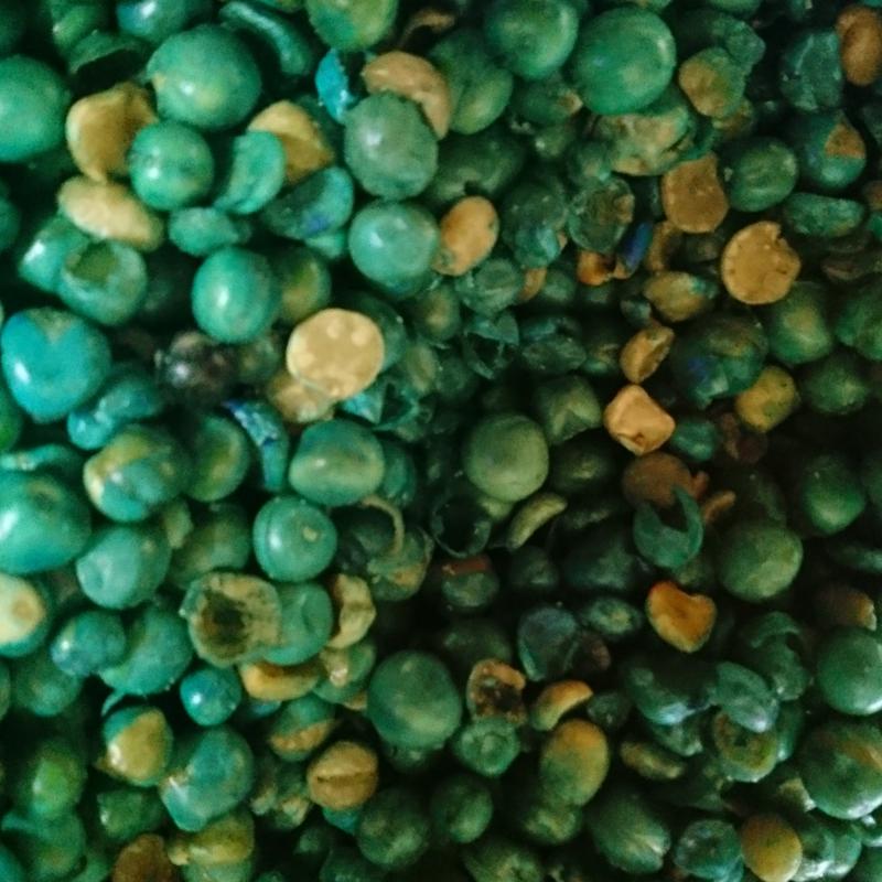 Makanan Ringan Kacang Polong - Gurih 2