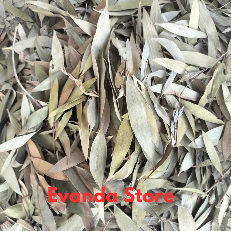 PROMO 1Kg Daun Kayu Putih Kering / Daun Minyak Kayu Putih Kering 3