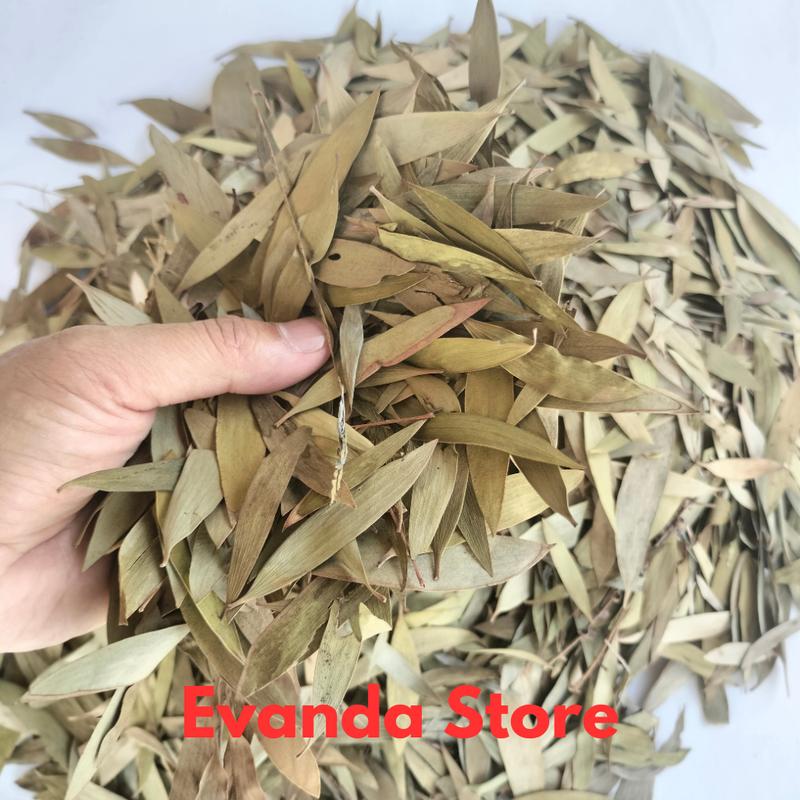 PROMO 1Kg Daun Kayu Putih Kering / Daun Minyak Kayu Putih Kering 2
