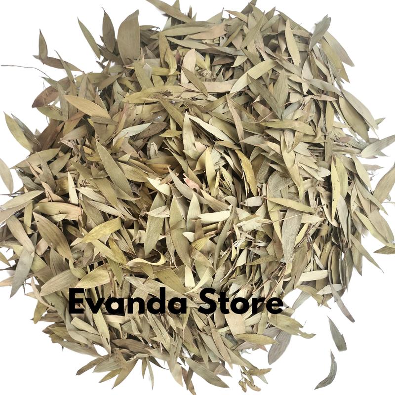 PROMO 1Kg Daun Kayu Putih Kering / Daun Minyak Kayu Putih Kering 1