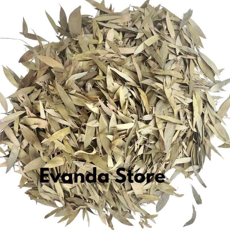 PROMO 1Kg Daun Kayu Putih Kering / Daun Minyak Kayu Putih Kering 0