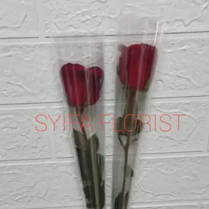 bunga mawar tangkai rose merah (1 tangkai )