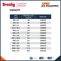 Gambar Crosby Eye Bolt M279 M12 x 20.5 mm dari PT Anugrah Sukses Marine Kota Administrasi Jakarta Utara 5 Tokopedia