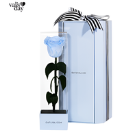 Gambar Outerbloom - Bunga Valentine - Enchanted Love Pirouette Special Edition - Angelic White dari Outerbloom Kota Administrasi Jakarta Selatan 1 Tokopedia