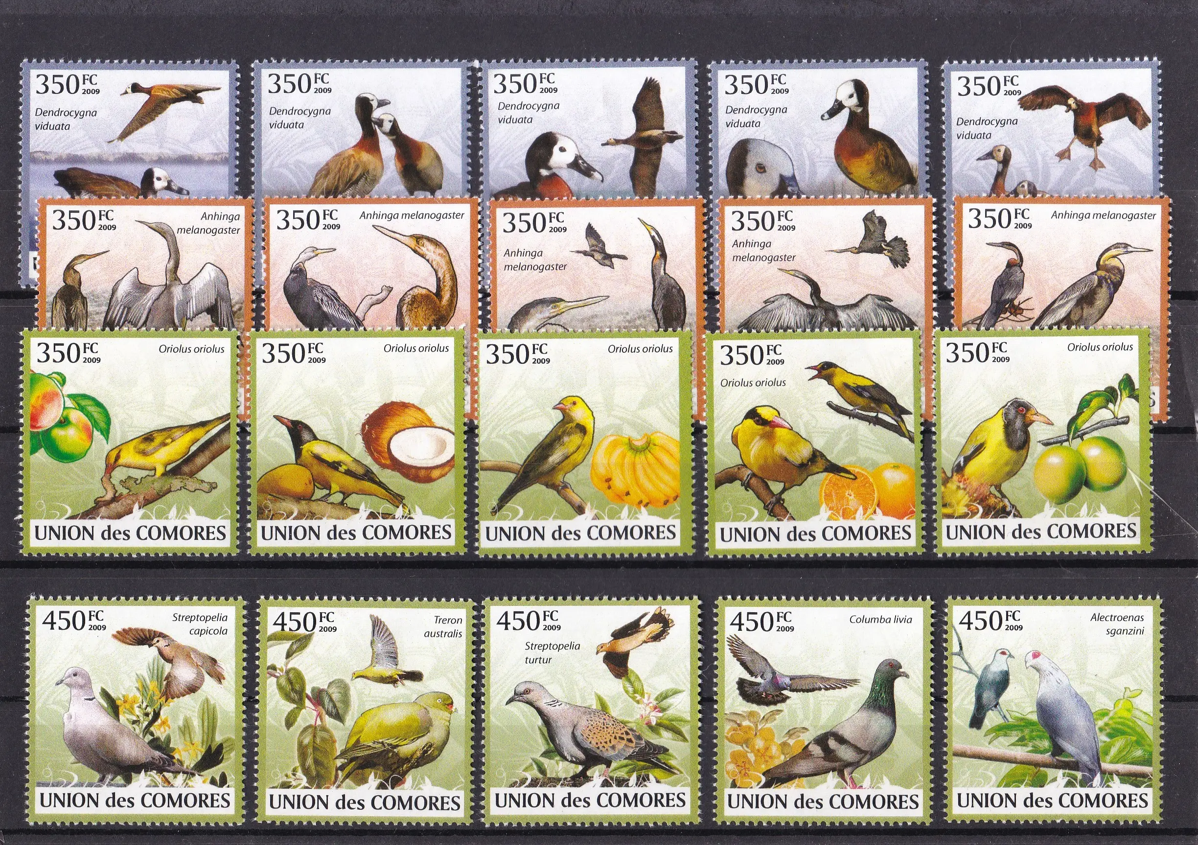 S0034 Prangko Komoro 2009 Fauna Birds Ducks Bebek Liar 5v Mnh