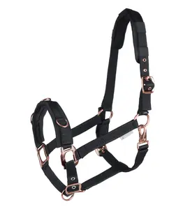 WALDHAUSEN LUNGING HALTER CAVESSON BRONGSONG LONGSER KUDA EQUESTRIAN